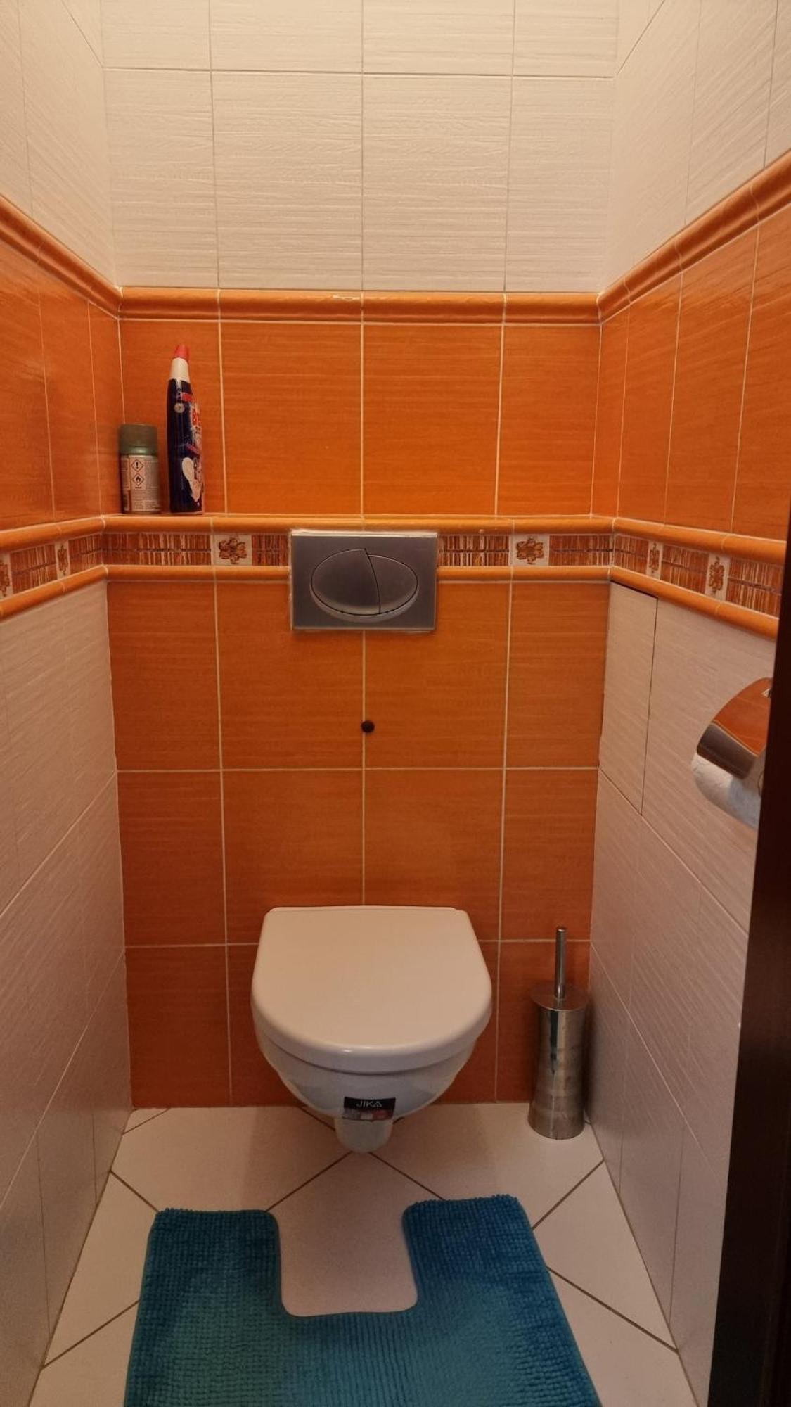Spacious Two-room In Apartment Prague